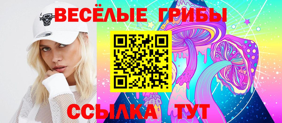 купить наркотик  Вход с VPN  Дюртюли  Псилоцибиновые грибы Psilocybe  Галлюциногенные грибы Psilocybe 